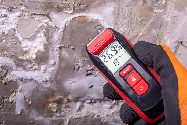 Best Same-Day Mold Removal  in Winters, TX