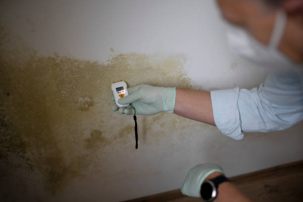 Crawl Space Mold Removal in Winters, TX