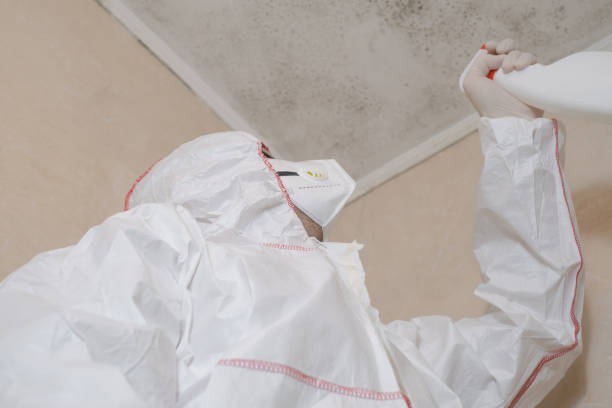 Best Office Mold Removal Services  in Winters, TX