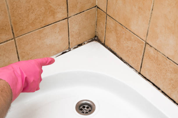 Best Residential Mold Removal  in Winters, TX